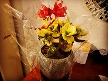 酵素風呂 チル/お金のなる木