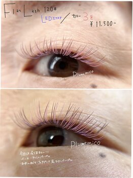 プルームミコ(Plume mico)/フラットラッシュ120本/LED 