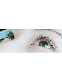 ベリーナ(Bellina)/セーブルラッシュ120本