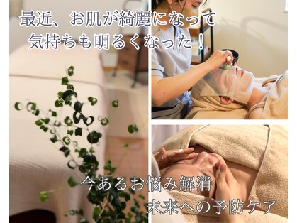 ルミフィーカ(lumifica)の写真