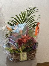 ルアナ 柏本店(LUANA)&nbsp;杉山 あやの