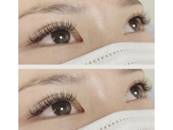 ベル(Belle)/◆フラットラッシュ180本