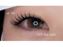 アネロ 浜松 曳馬店(anello)/LEDglueでもち抜群！