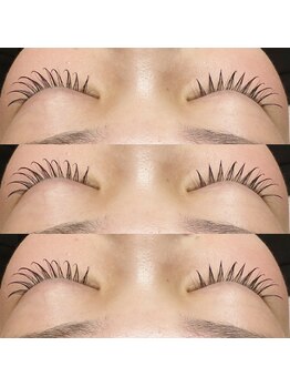 アイラッシュ ベイビーステップ(Eyelash Baby step)/フラットラッシュ120本