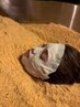 体質調整木浴＋えんスペシャルフェイスパック＜温活/酵素風呂＞