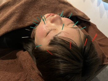 ハリーボ 銀座新富町(Hari-Bo)