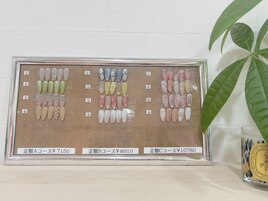 4-6月定額デザイン
