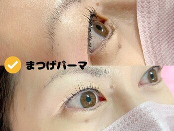 リマ(Lima)/大人気