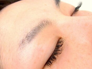 アイオンラッシュ(Aion Lash)/【クーポン】眉毛トリートメント