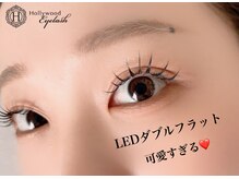 ラッシュラッシュ 布施店/LEDダブルフラット 50束100本