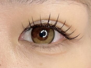 カミエユニ(Kamie-uni-)/フラットラッシュ120本/束感