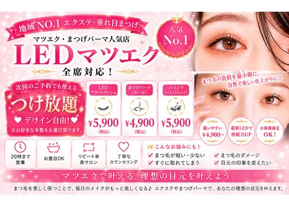 ハナ(hana)の写真
