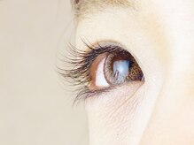 アイラッシュサロン エール(Ailes)/◆まつ毛カール（2）