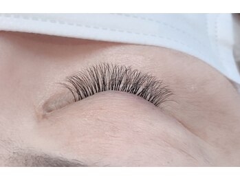 ジル アイラッシュアンドネイル(Jill)/☆ボリュームラッシュ☆100束