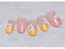 アヤメ(AYAME)/ハイビスカス