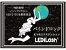 ◎LED×バインドロックorパーフェクトラッシュ120束~150束ボリュームコース　
