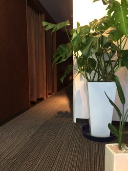 リラクゼーション フワリ(relaxation fuwa:re)/店内　廊下