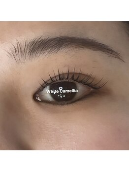 ホワイトカメリア 梅田茶屋町店(White Camellia)/まつ毛パーマ/マツエクサロン