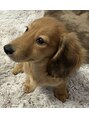 ポッシュ 葛西店(POSH)&nbsp;小さな家族♪癒しやんちゃ坊主くん長男(o^^o)