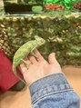 ドルチェネイル(Dolce.Nail)&nbsp;動物全般大好きです！カメレオンぷにぷにしててかわいい(*^^*)