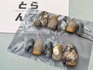 パラジェル/長さだし/オフのみ