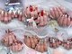 ミミネイル(Mimi nail)の写真
