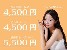 シャトン ブラン(chaton blanc)