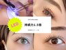 LEDフラットラッシュ100本