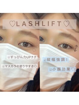 イル 鎌倉(ile)/上下ラッシュリフト