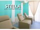 ステラ(STELLA)の写真