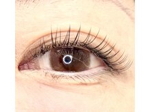 ルースアイプラス(Luz.eye+)/LEDフラット80本（片目40本）