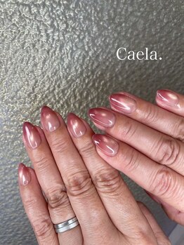 カエラ(Caela)/マグネット×グラデーション