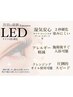 【6月限定】オフ込◆ LED ◆ ボリュームラッシュ上7980円　