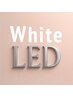 【WhiteLEDラッシュ80本】6500円/LINE予約or次回予約5500円※新規オフ無料