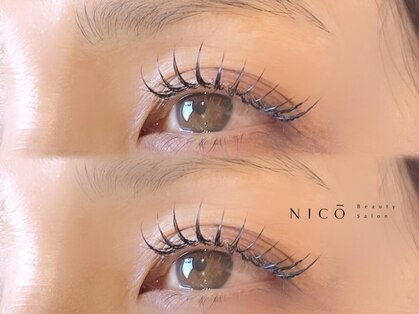 ニコ(NICO)の写真