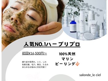 サロンドゥルシェル(salonde_le ciel)