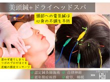 ミエリア美容鍼灸院(mielia美容鍼灸院)/美頭鍼+ドライヘッドスパコース