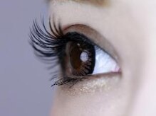 まつ毛のお店屋さん 御器所店/ボリュームラッシュ120束¥6300