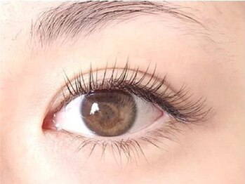 アイラッシュ ティアラ(Eyelash Tiara)の写真/目の形やまつ毛の状態は人それぞれ違うから、カール/太さ/長さなどエクステの種類を豊富にご用意♪