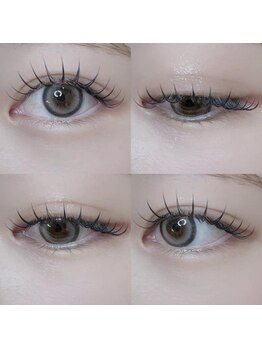 ラッシュ ミューズ(LASH muse)/color