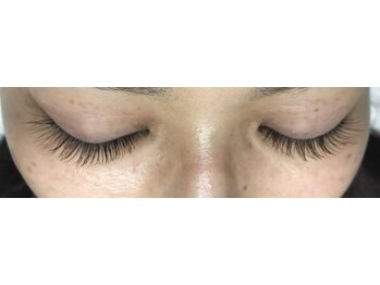 オランダエステティック(Holland Esthetics)/5,300 (5,830円税込)