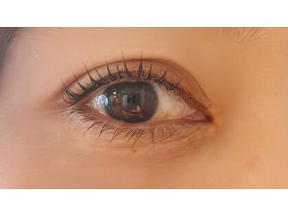 アートラッシュ(art_lash)の写真