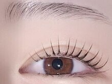 ボリスビアン プリンシェ(Borisvian Prinche)