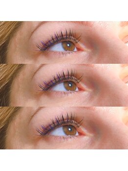 カミーノ(CAMINO)/