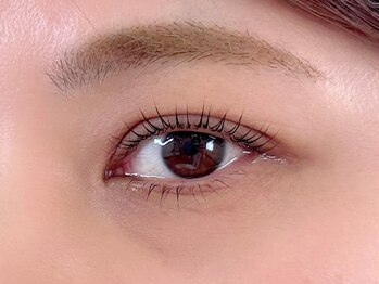 ダブル(W.)/ラッシュリフト上下