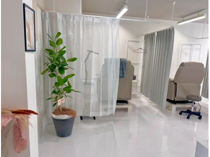 シイプ(SHE:P)の写真