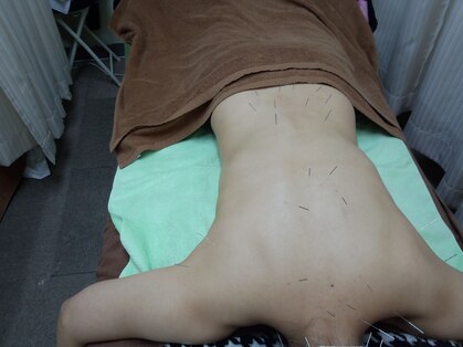 杏の樹鍼灸治療院の写真