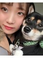 癒し～ぷ 高知帯屋町店&nbsp;愛犬の黒豆柴です！ おとなしくてかわいい子です♪