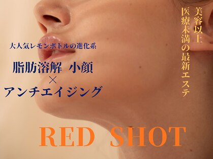 オット(otto)の写真