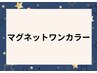 マグネットワンカラー　¥8520　　*初回オフ無料*